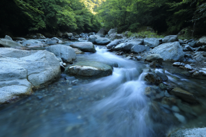 Rushing stream with stones