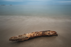 Log on beach