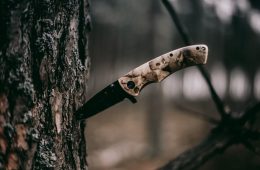 Knife in Tree