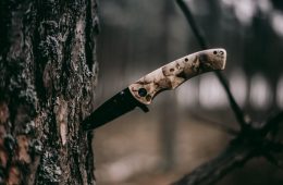 Knife in Tree