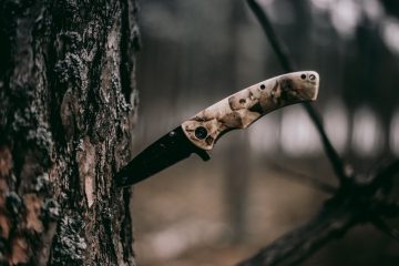 Knife in Tree