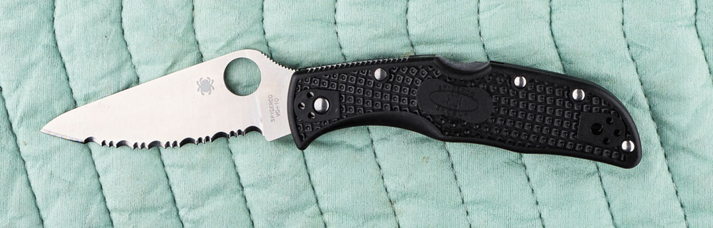 Spyderco Endela EDC pocket knife