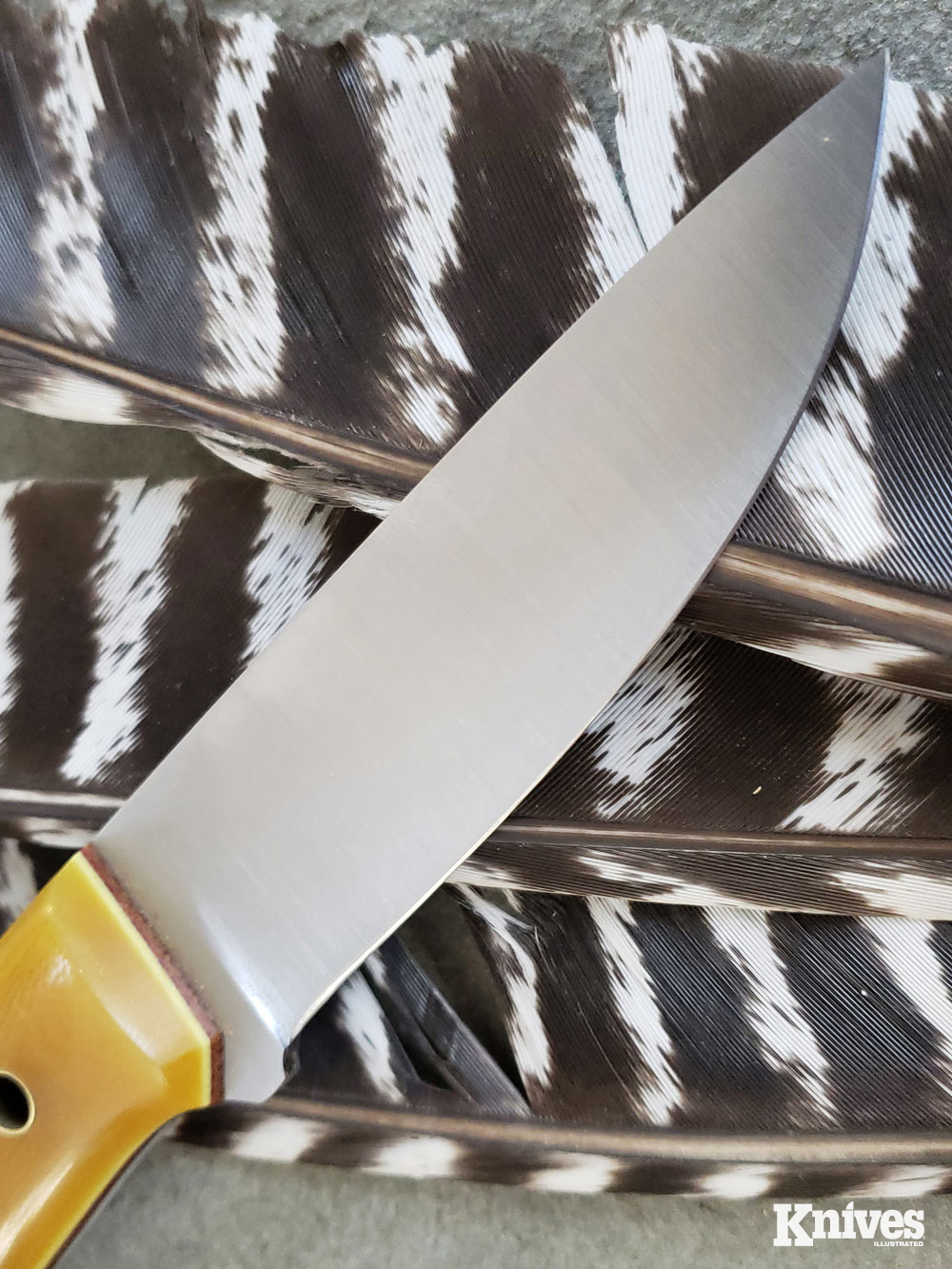The Layman blade features a full-height grind, making it an excellent slicer.