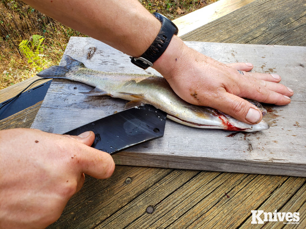 big knife can be used for small knife tasks with proper technique.