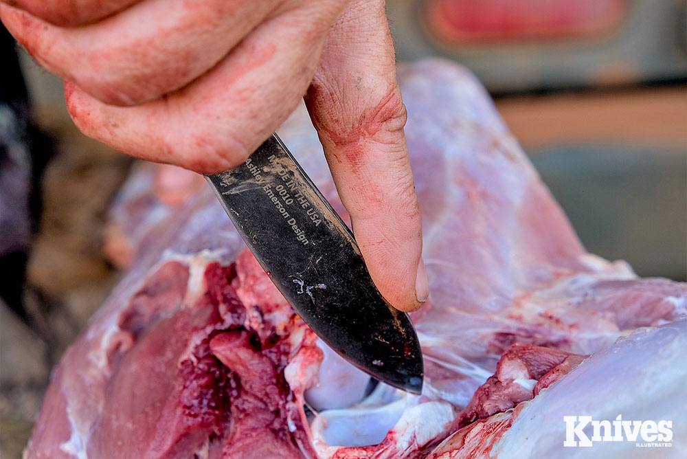 The AGK being used to skin a wild hog from a recent hunt in Texas.