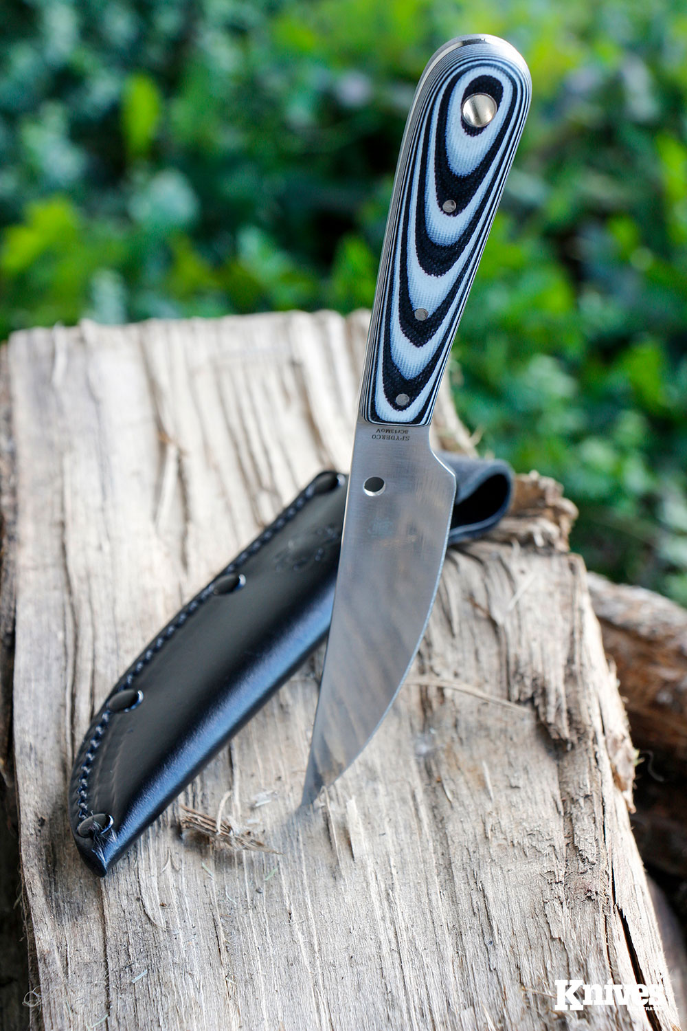Knife Review: The Spyderco Bow River