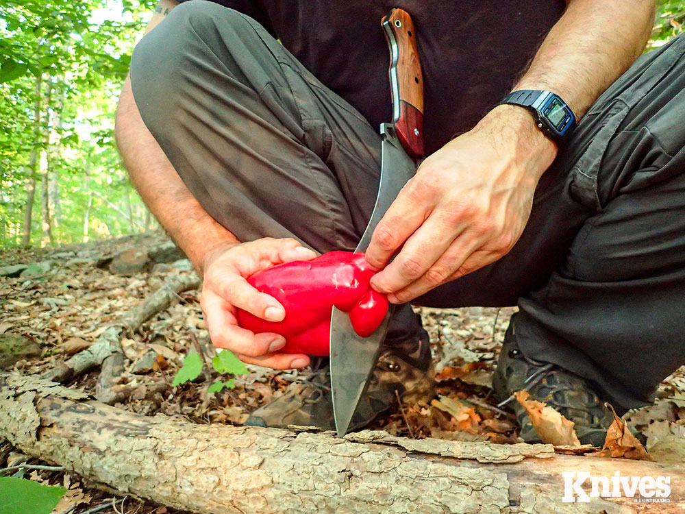When the knife is stuck in a wood surface, it can serve as a bark scraper for poplar or peel any stick.