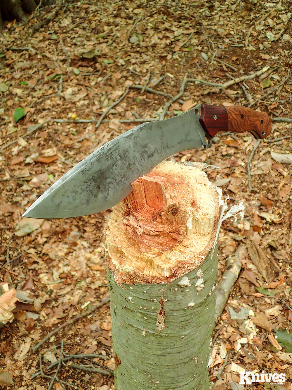 The Khuk Fighter chopped this dead 6-inch-diameter beech tree down in a few minutes.