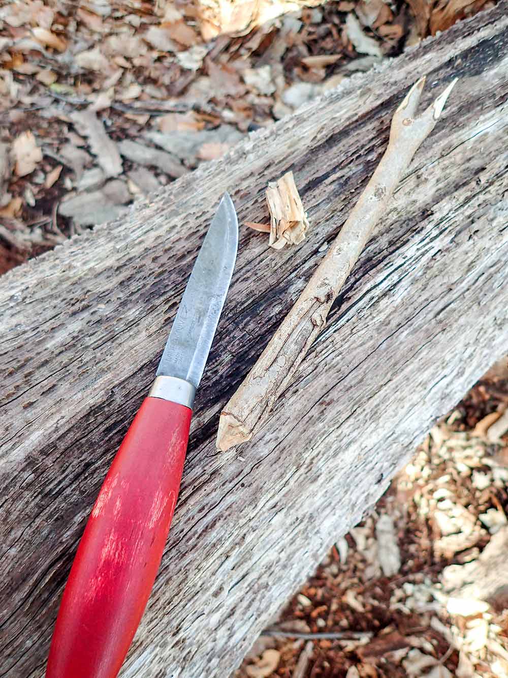 The result of a beaver chewing through wood 