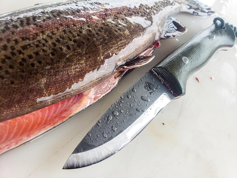 The author used the Orford Trapper to clean multiple trout during his review.