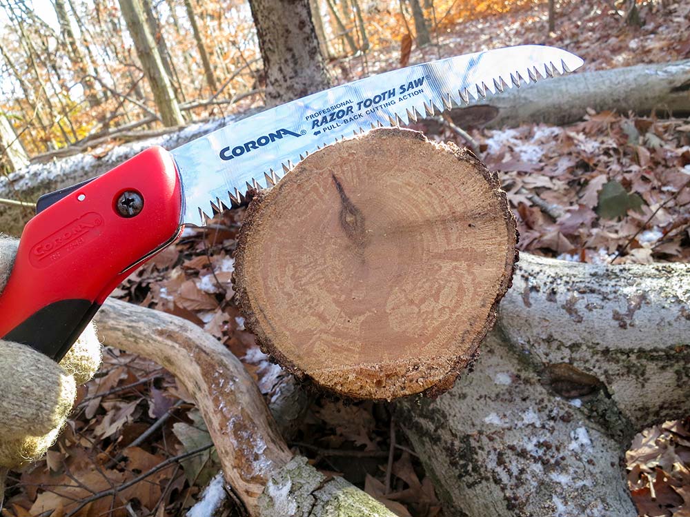 The author cut 4-inch-diameter oak with the Corona 7-inch Razor Tooth Saw. 