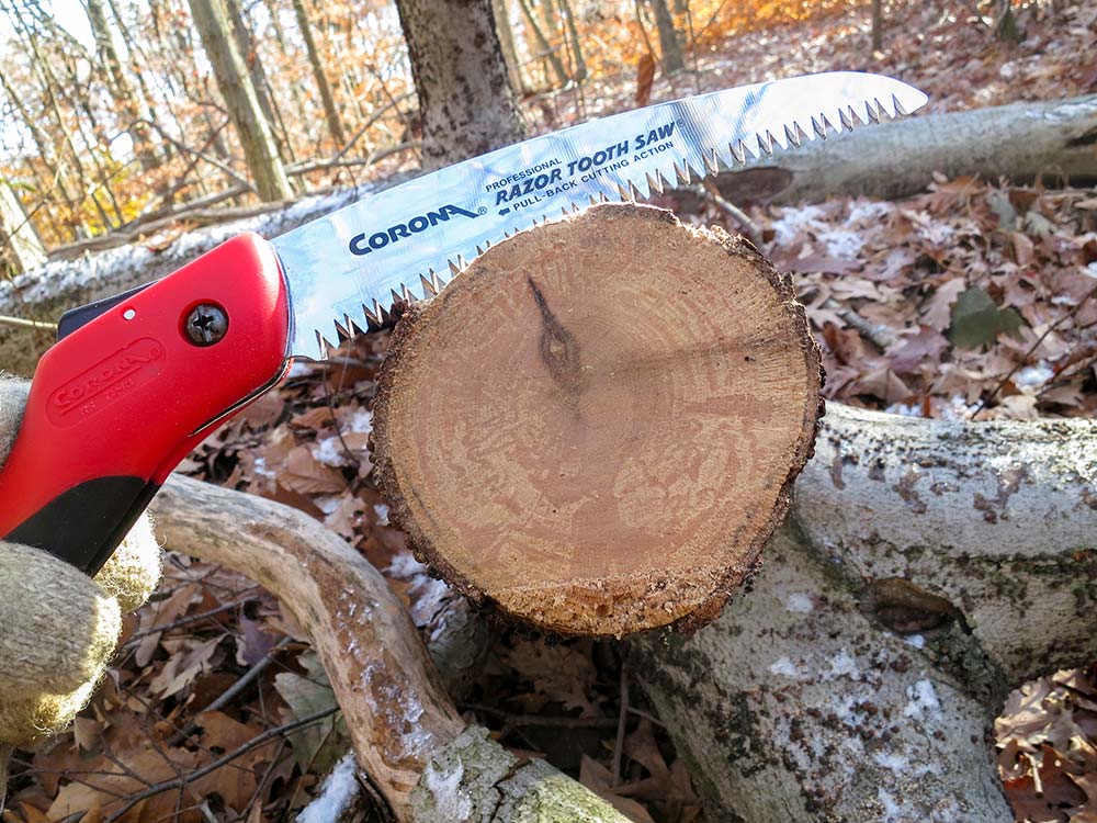 The author cut 4-inch-diameter oak with the Corona 7-inch Razor Tooth Saw.