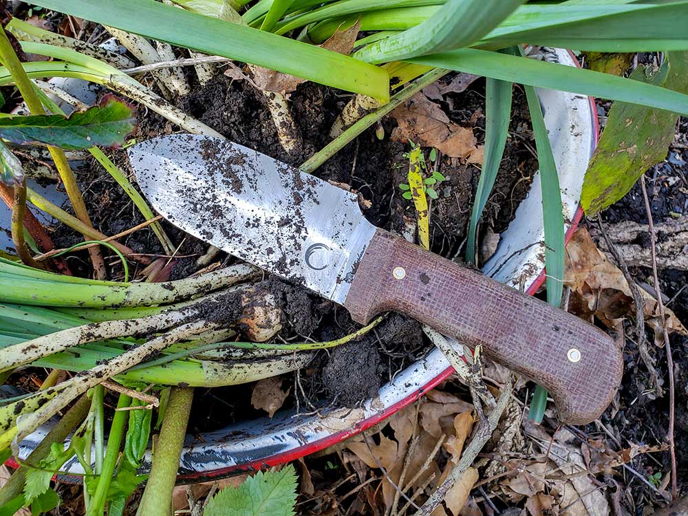 The author used the Foraging Tool to gather bulb