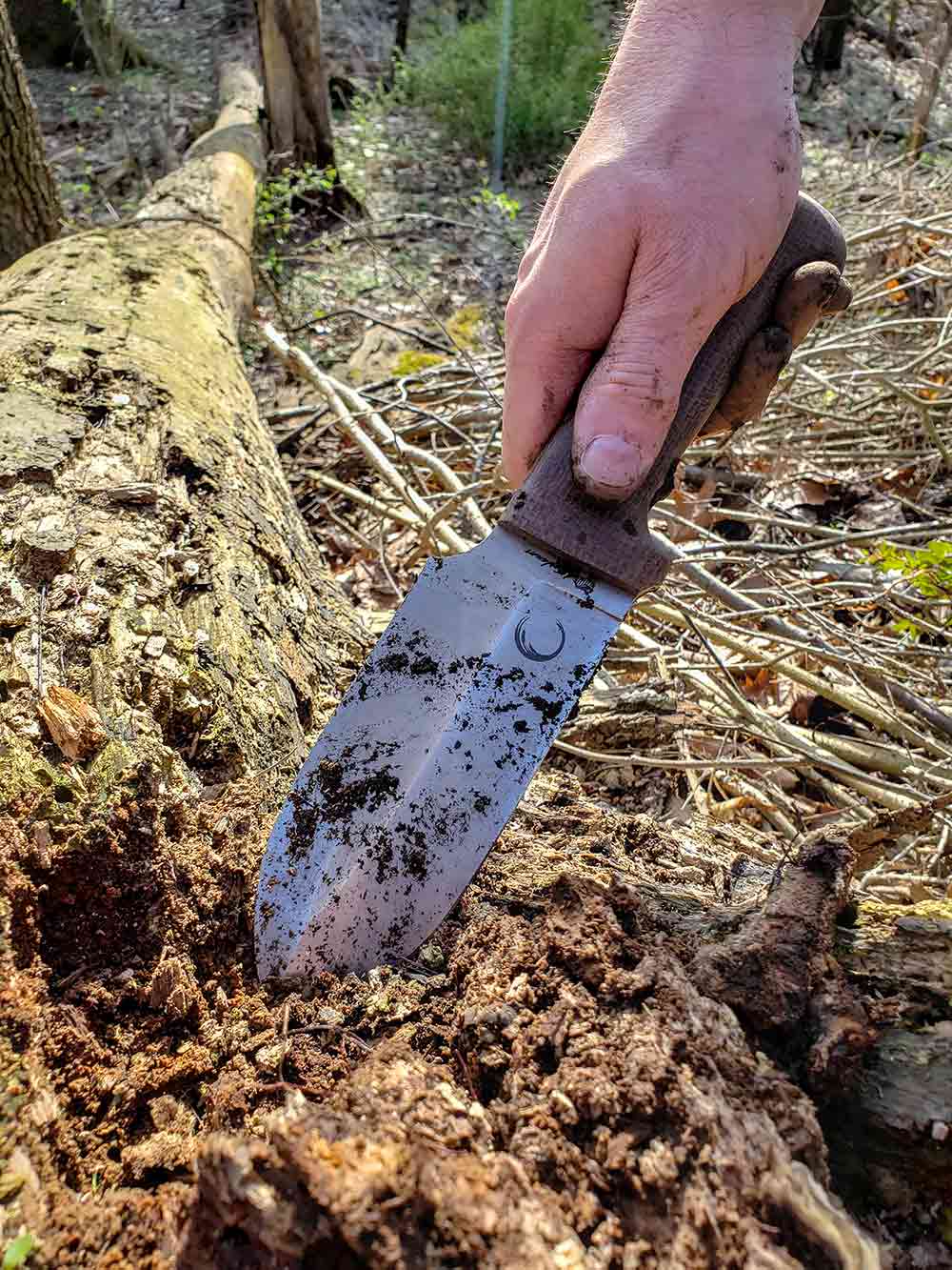 The Foraging Tool