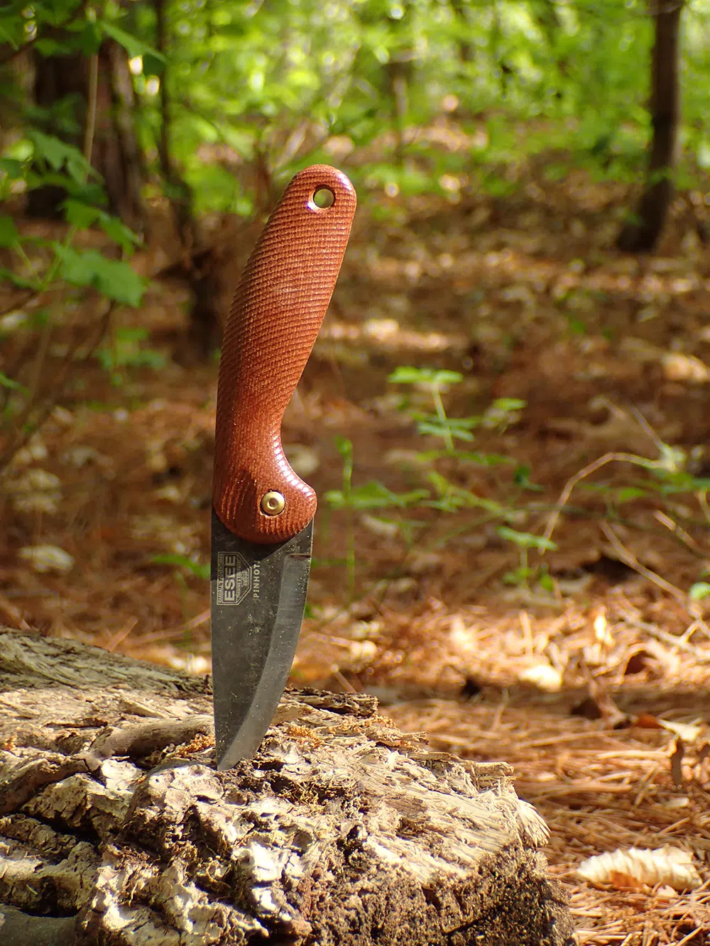 Pinhoti Friction Folding Knife - ESEE Knives