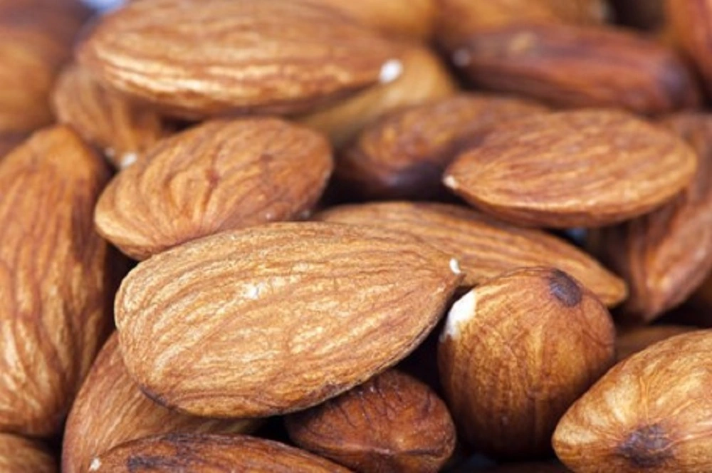 Keto vs. Carb-Loading: Which Diet Works Best for Footballers? – Lessons for Young Athletes